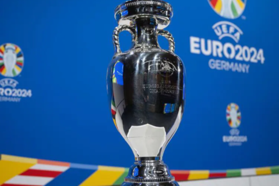 a photo showing the Euro 's trophy